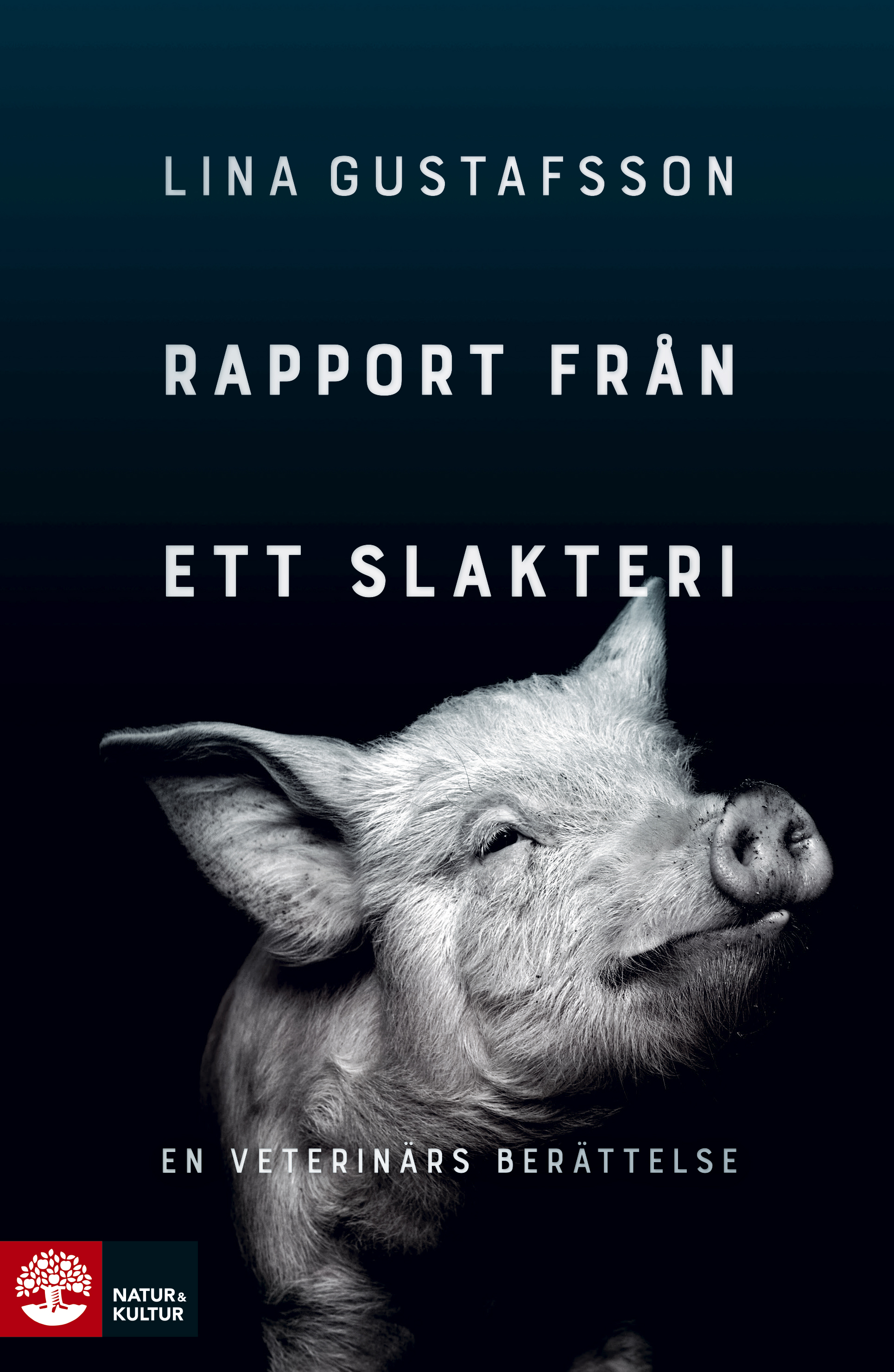 Rapport från ett slakteri - en veterinärs berättelse