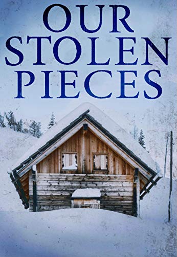 Our Stolen Pieces book cover