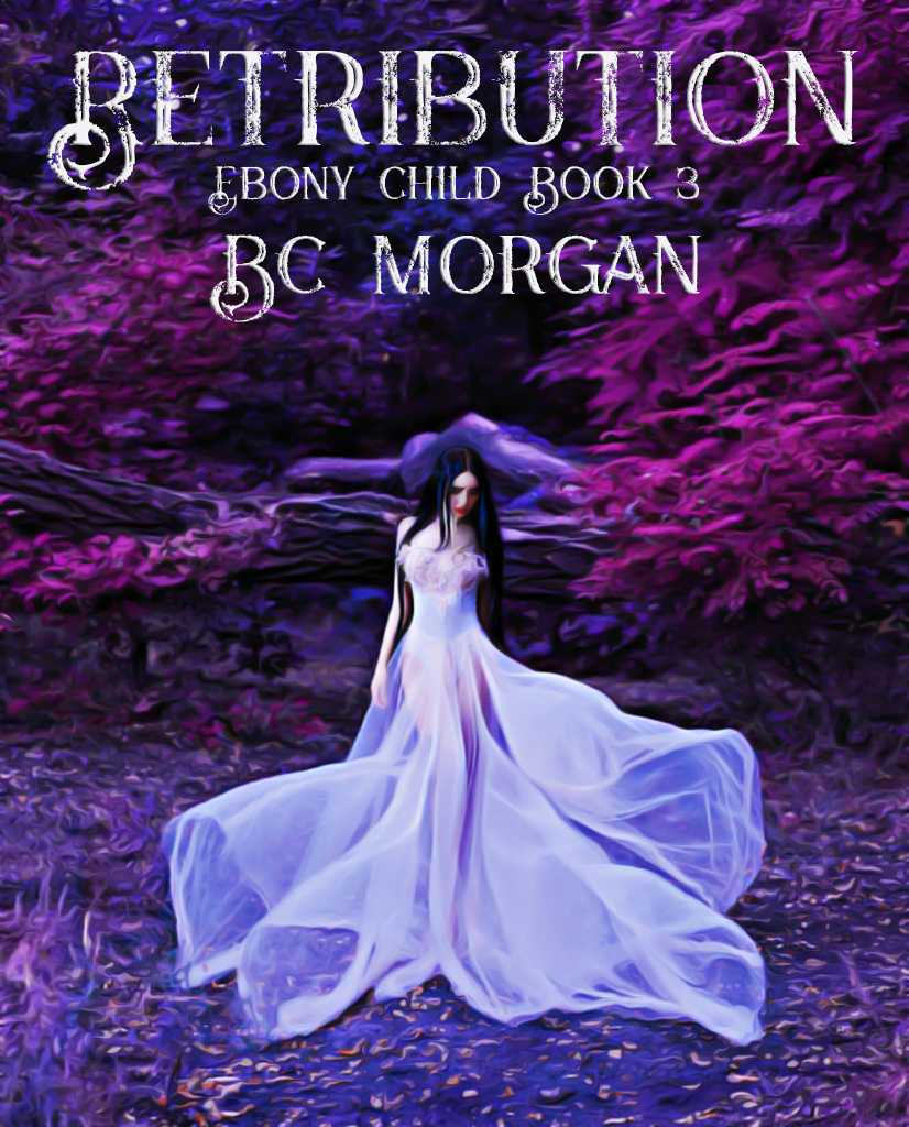 Retribution book cover
