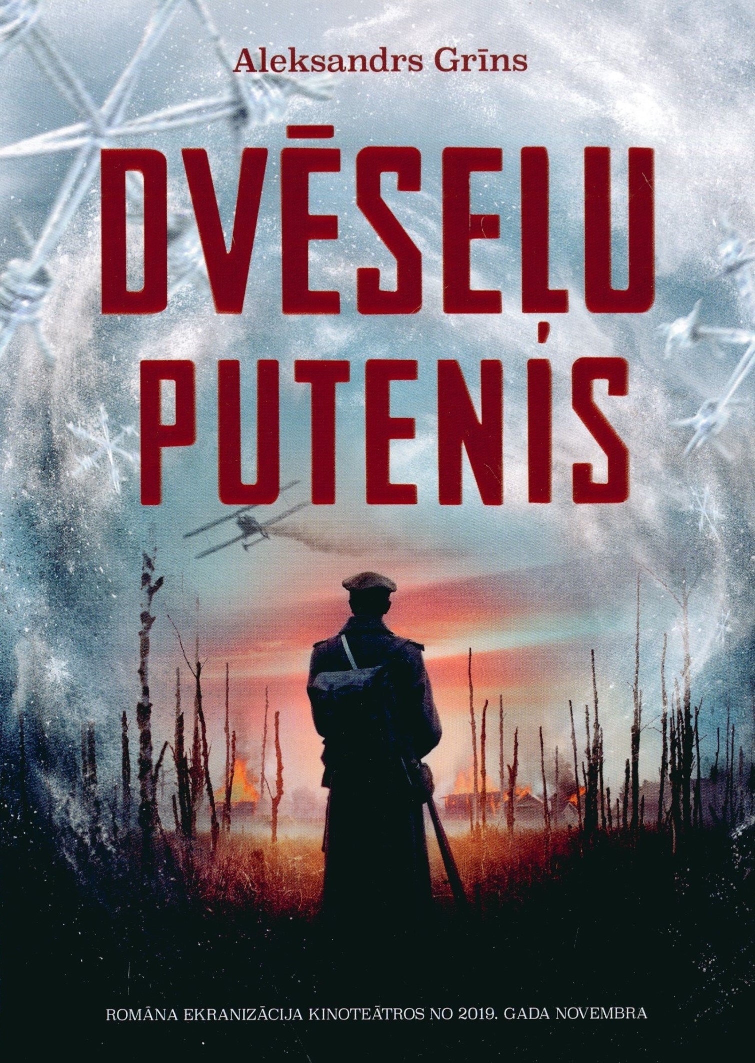 Dvēseļu putenis book cover