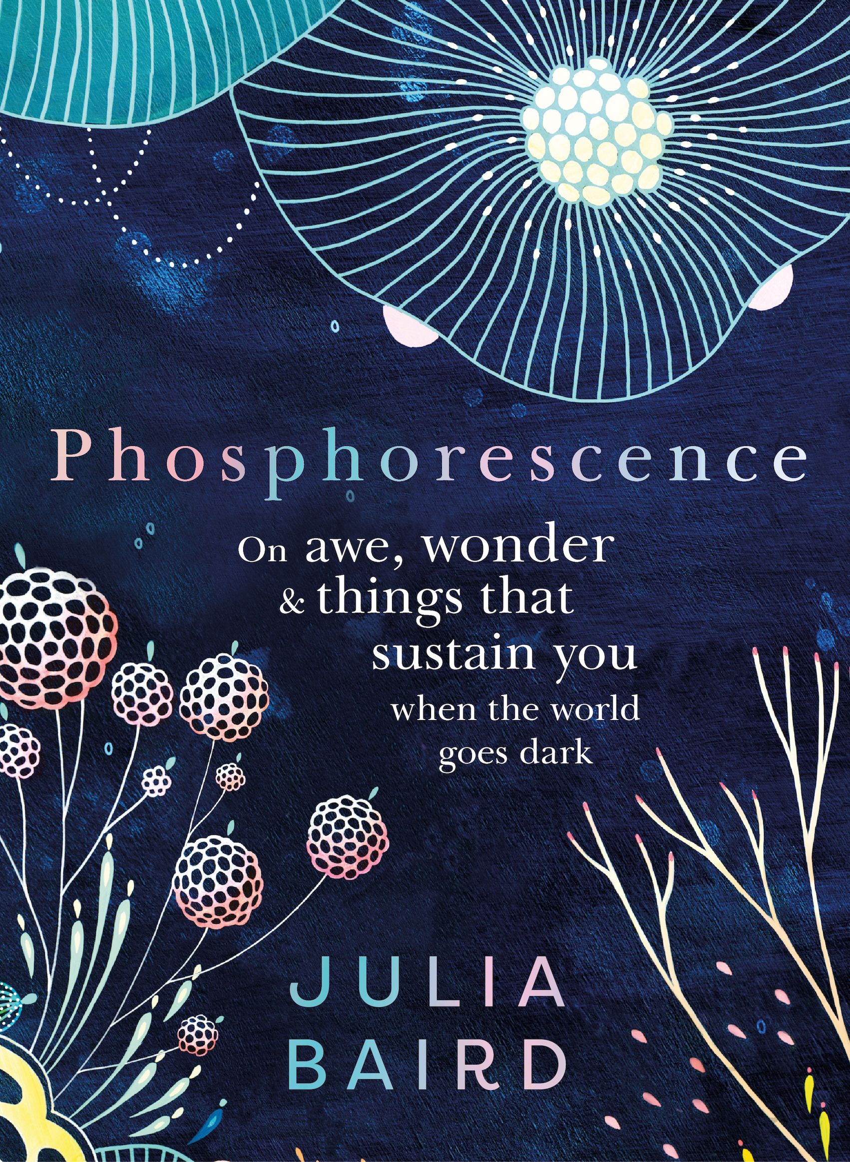 Phosphorescence: On Awe, Wonder and Things that Sustain You When the World Goes Dark