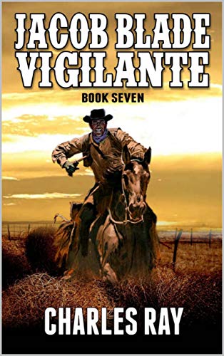 The Last Gunfighter Standing book cover