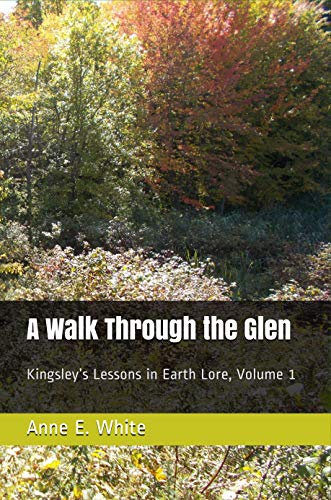 A Walk Through the Glen