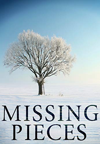 Missing Pieces book cover