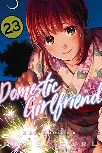 Domestic Girlfriend, Vol. 23 book cover