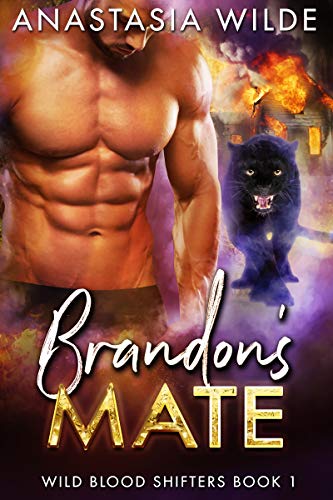 Brandon's Mate book cover