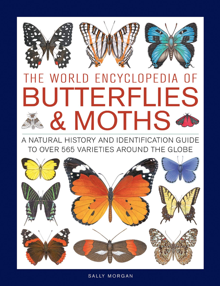 The World Encyclopedia of Butterflies & Moths: A Natural