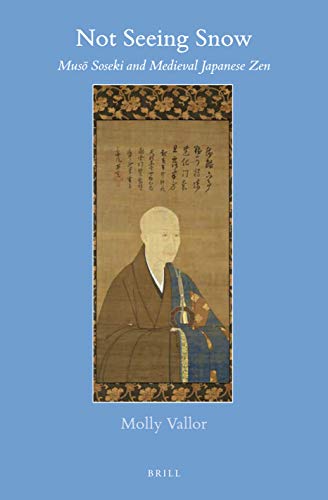 Not Seeing Snow book cover