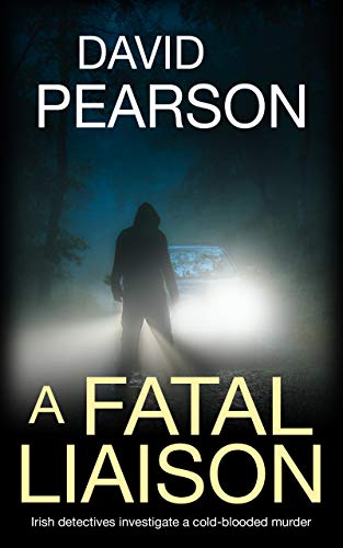 The Dublin Homicides book cover 2