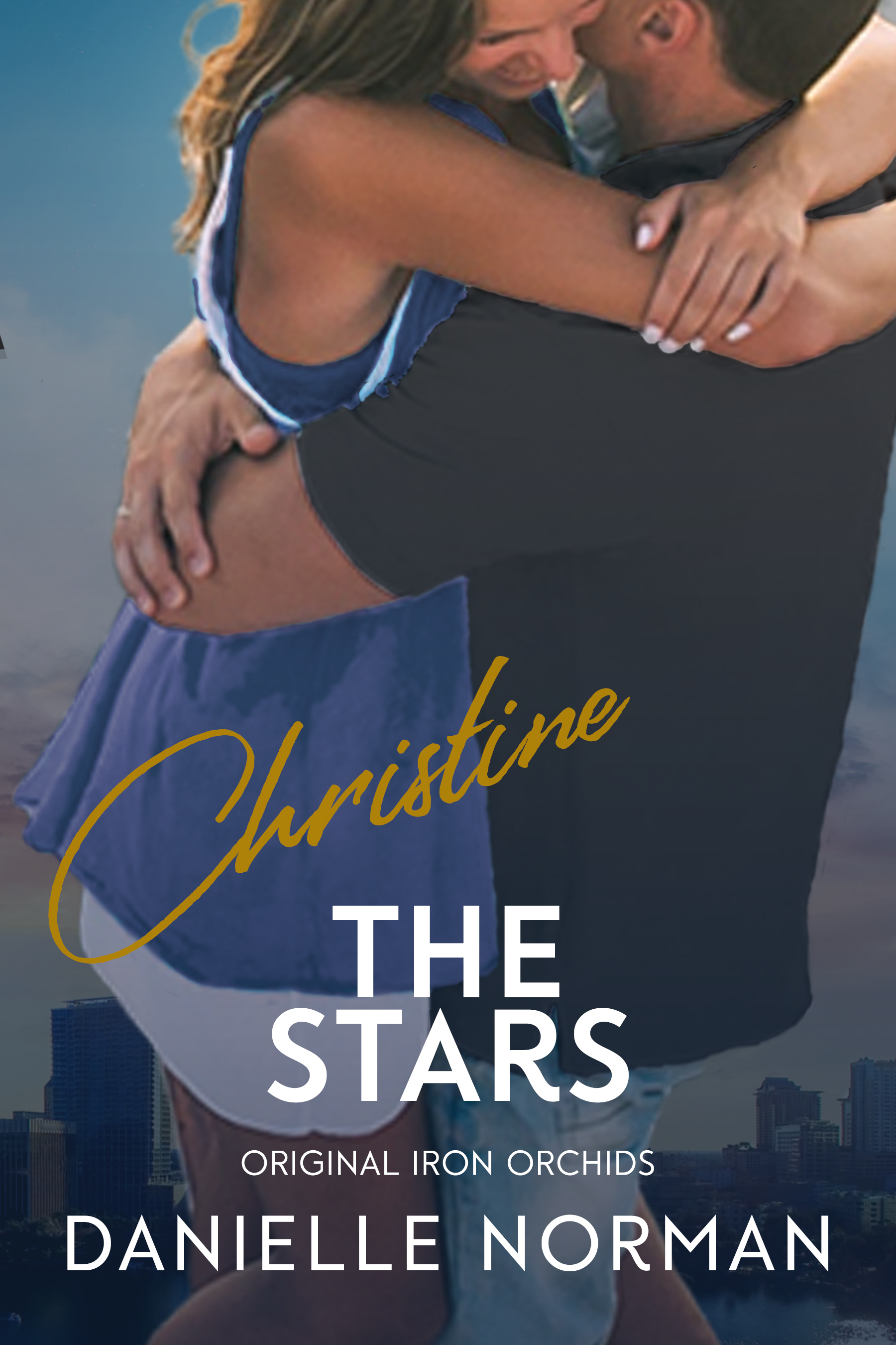Christine, The Stars book cover