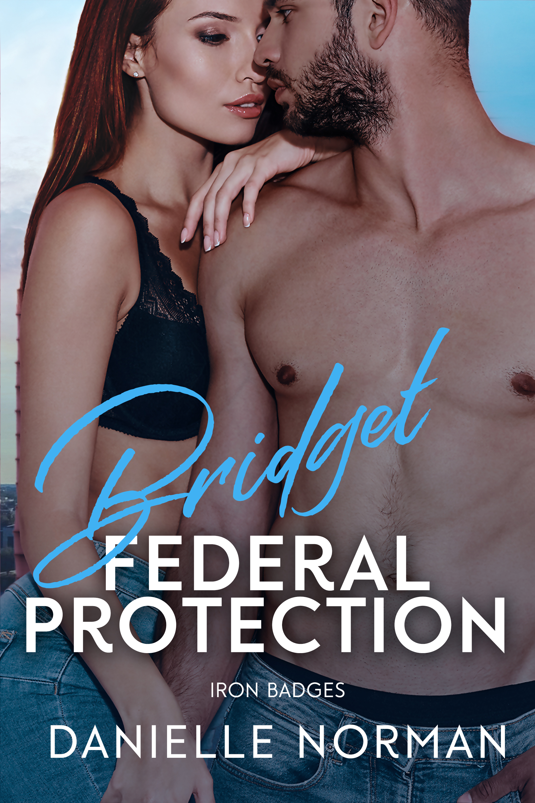 Iron Badges book cover 2