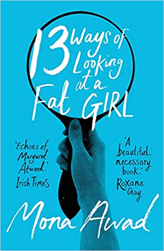 13 Ways of Looking at a Fat Girl
