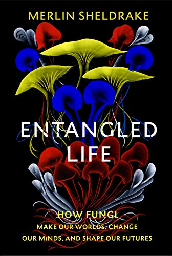 Entangled Life: How Fungi Make Our Worlds, Change Our Minds and Shape Our Futures