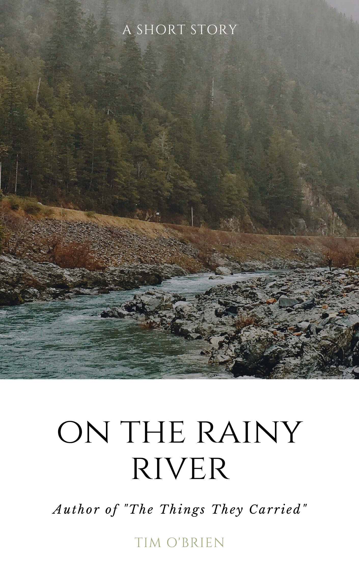 On the Rainy River book cover