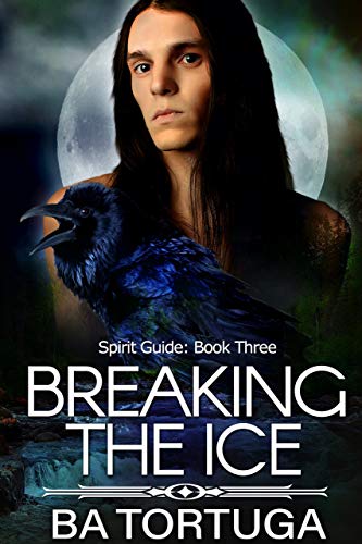 Breaking the Ice book cover