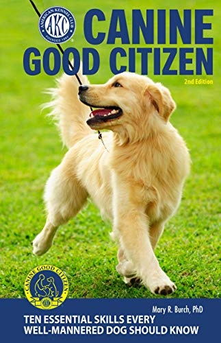 Canine Good Citizen: 10 Essential Skills Every Well-Mannered Dog Should Know