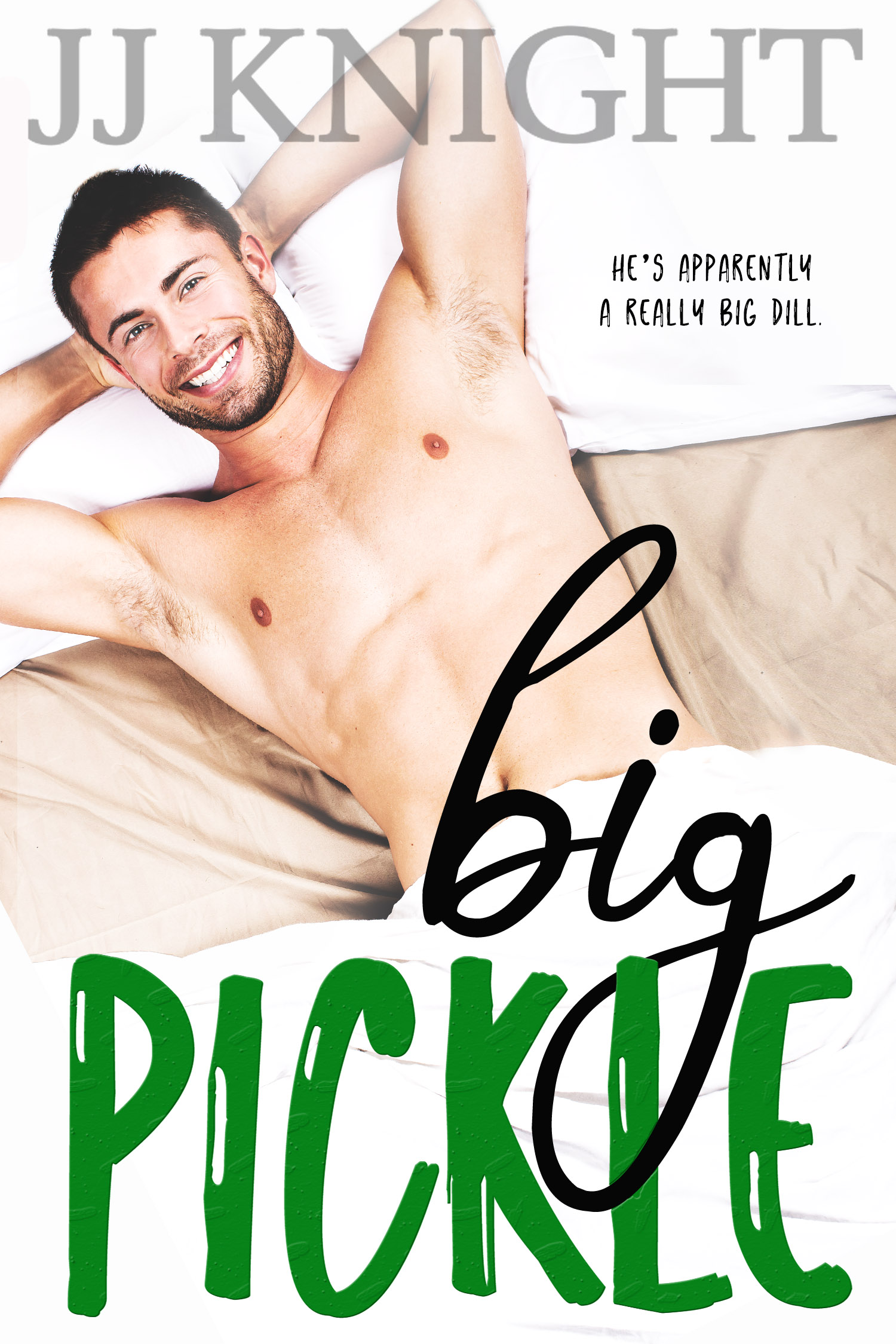 The Pickle Family book cover 1