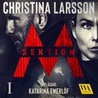 Sektion M book cover 1