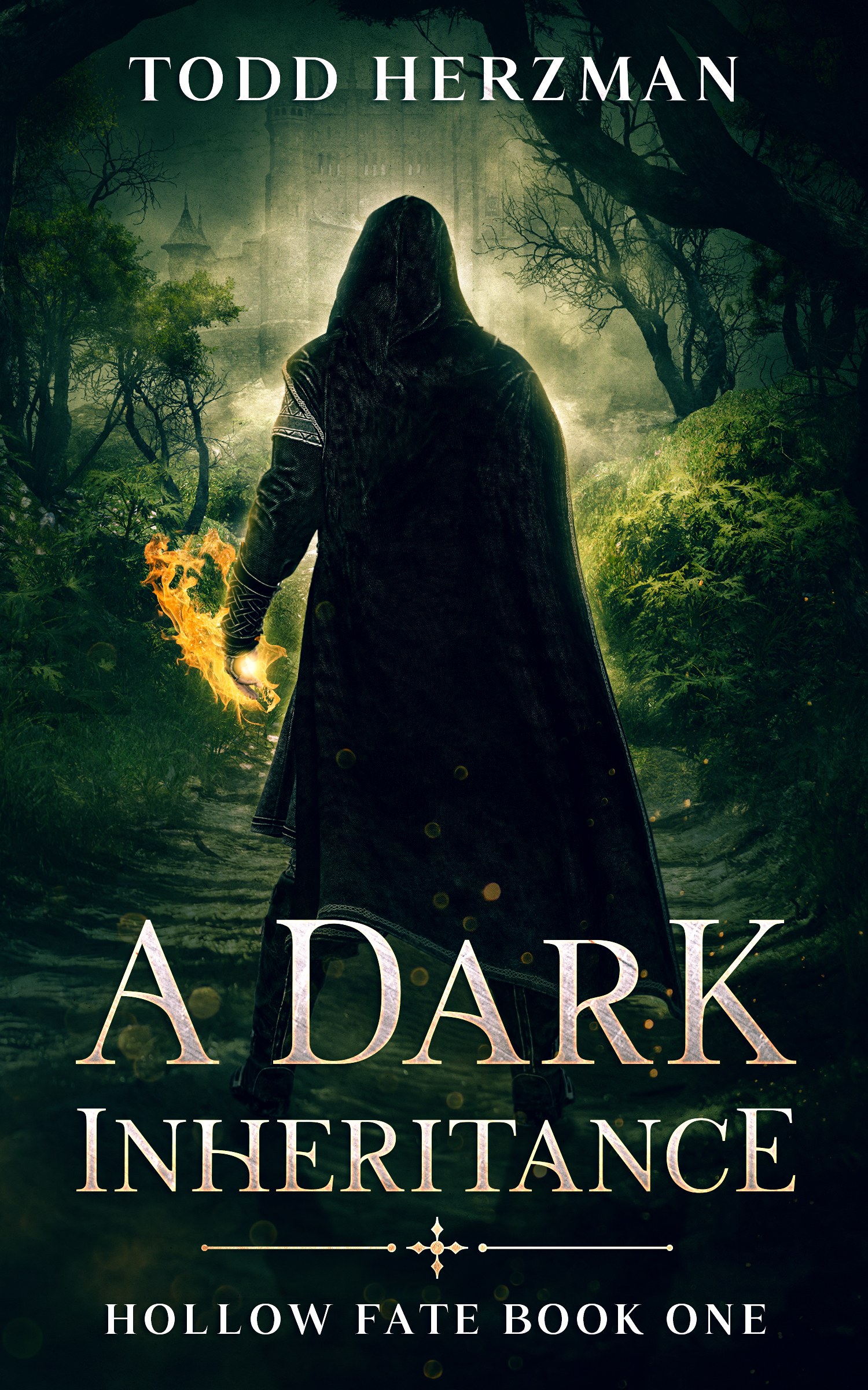 A Dark Inheritance book cover