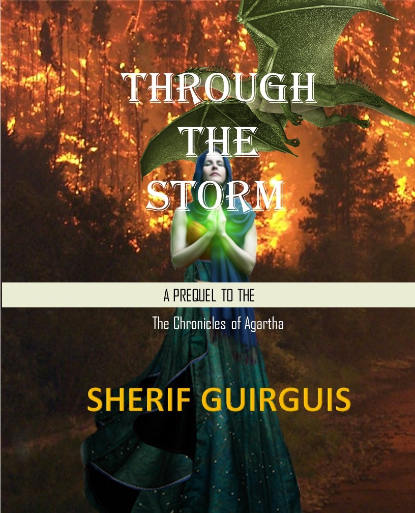 Through The Storm book cover