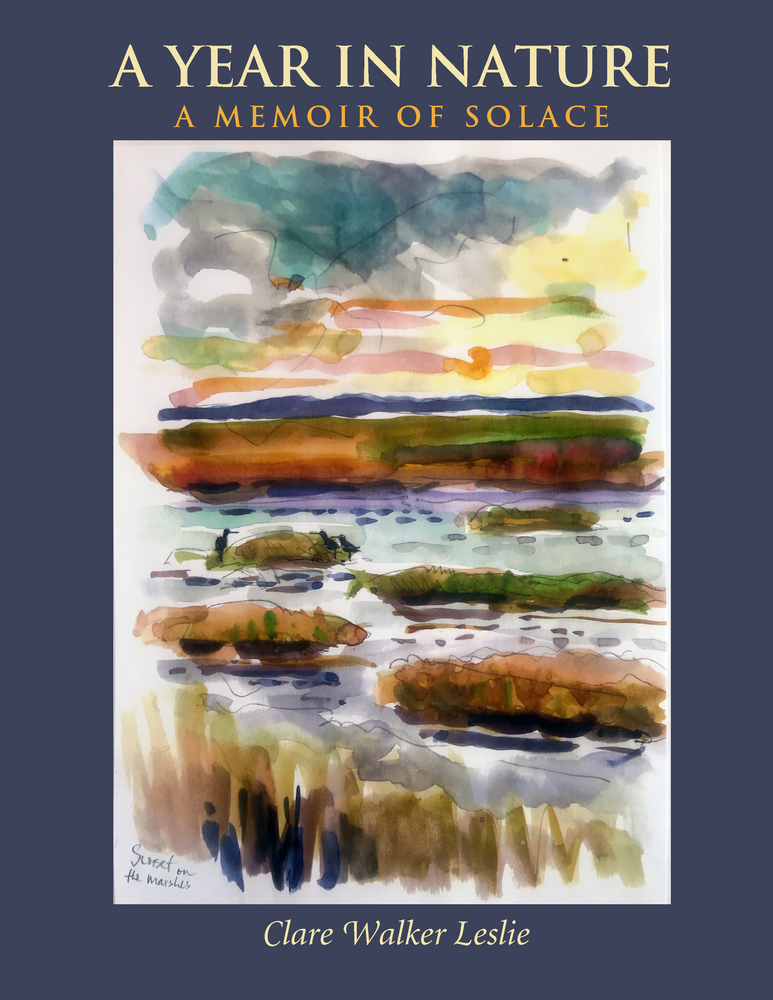 A Year In Nature A Memoir of Solace by Clare