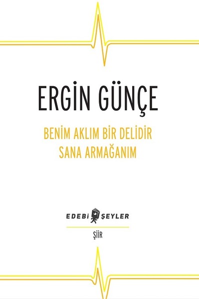 Benim Aklım Bir Delidir Sana Armağanım book cover