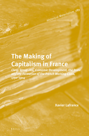 The Making of Capitalism in France. Class Structures, Economic Development, the State and the Formation of the French Working Class, 1750-1914 book cover
