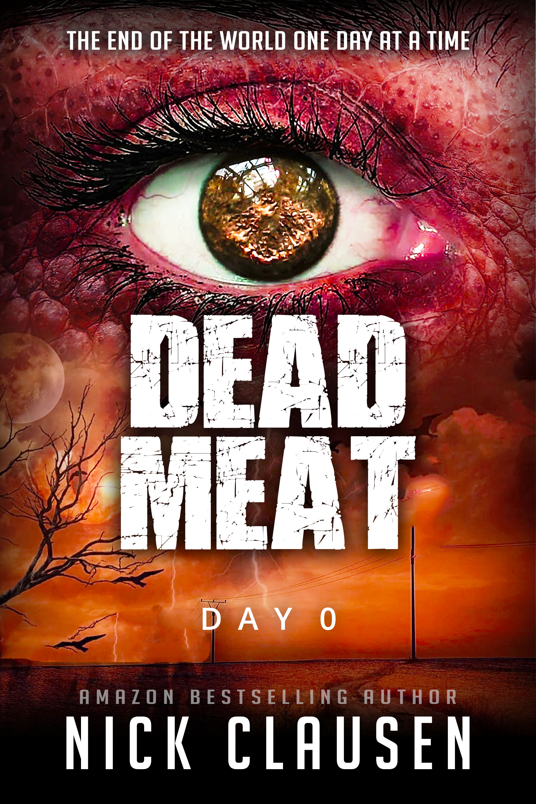 Dead Meat: Day 0