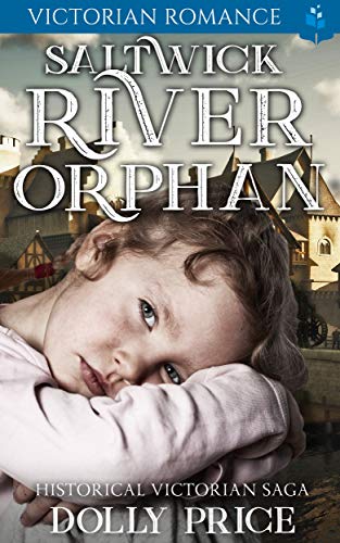 Saltwick River Orphan book cover