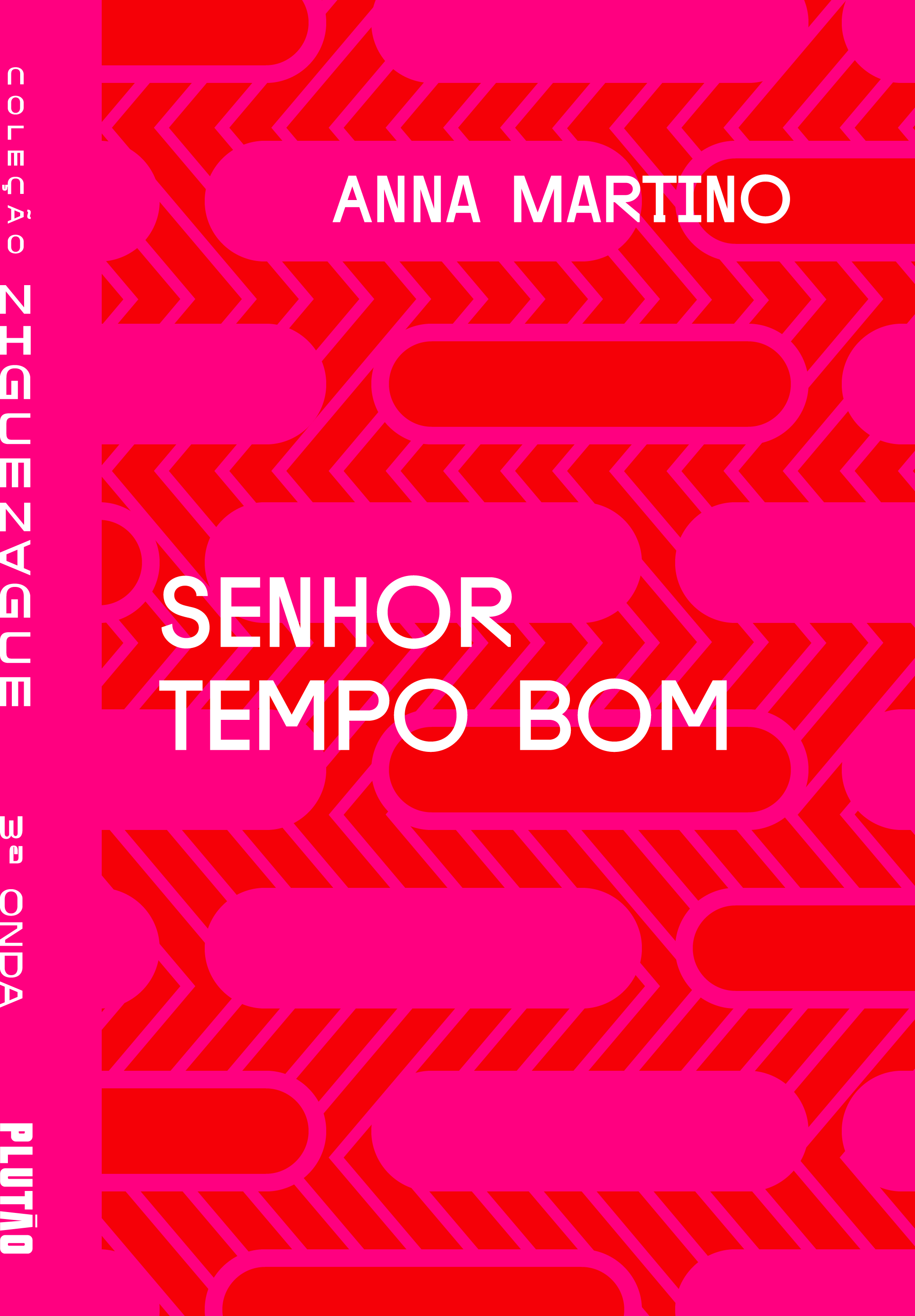 Tempo Pretérito book cover 1