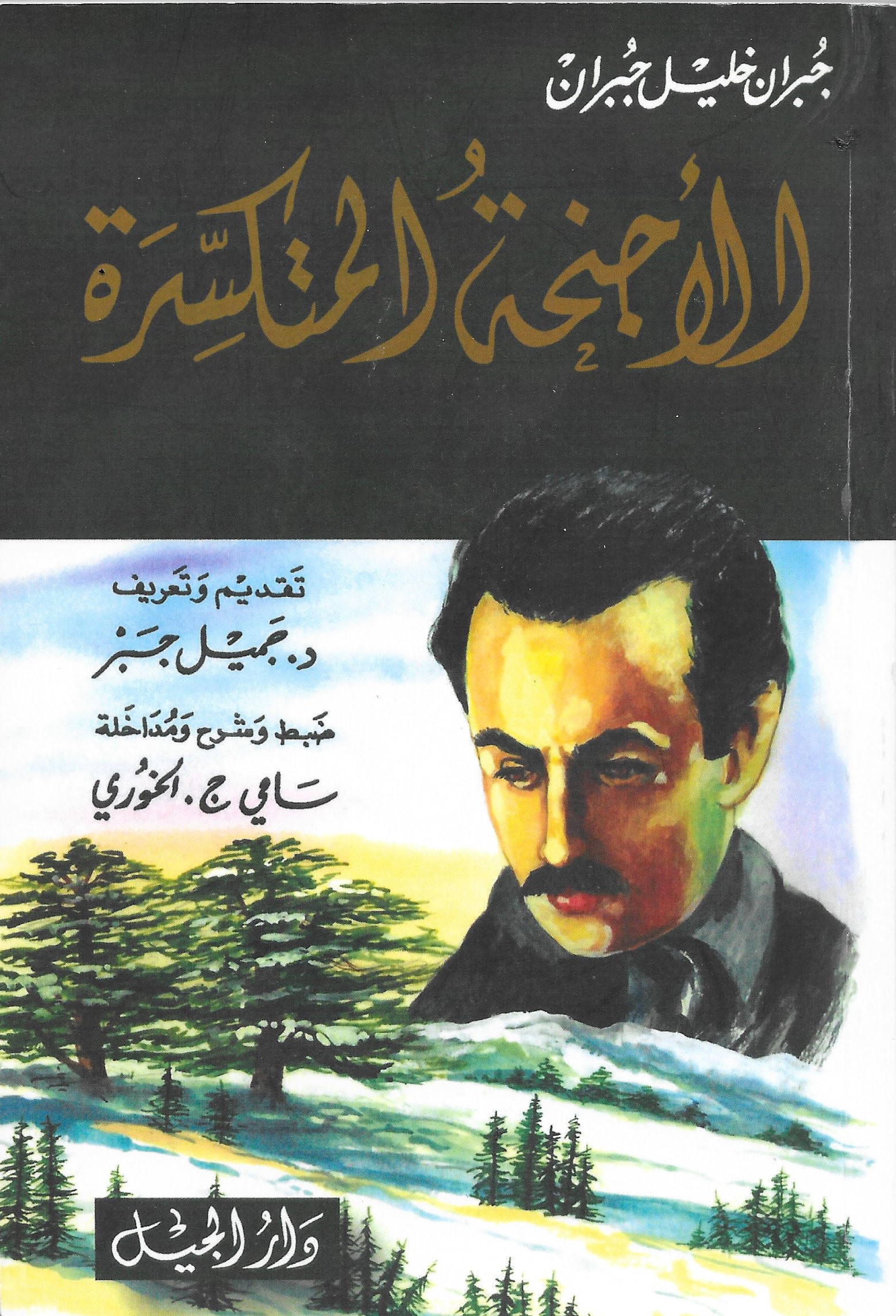 الأجنحة المتكسّرة book cover