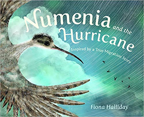Numenia and the Hurricane: Inspired by a True Migration Story
