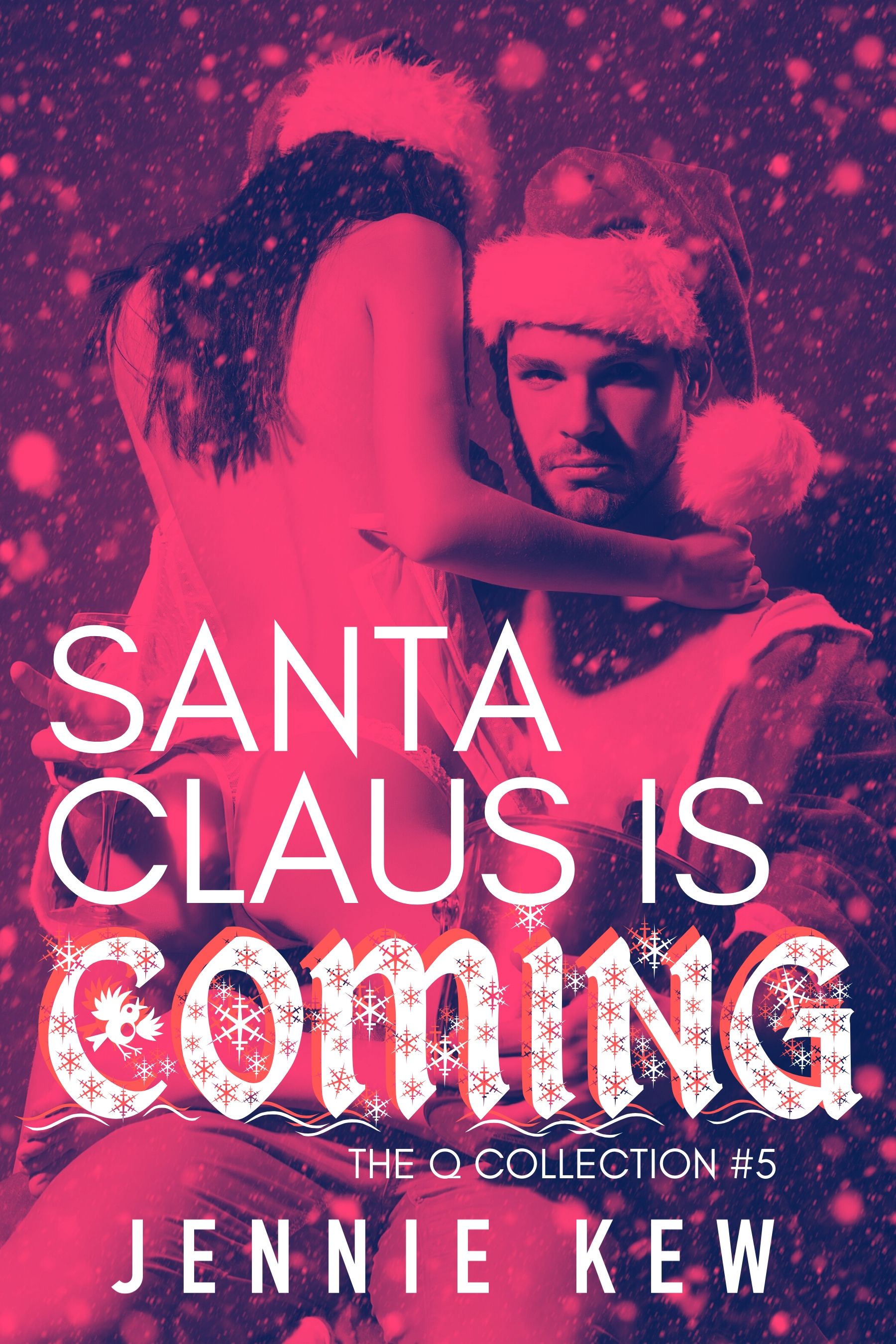 Santa Claus Is Coming book cover