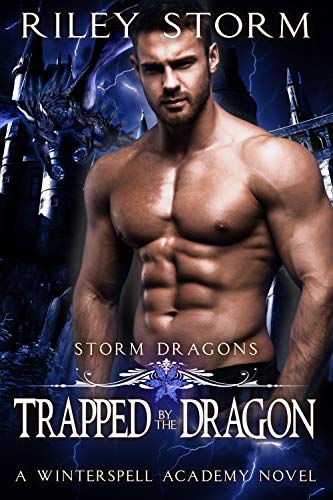 Storm Dragons book cover 2