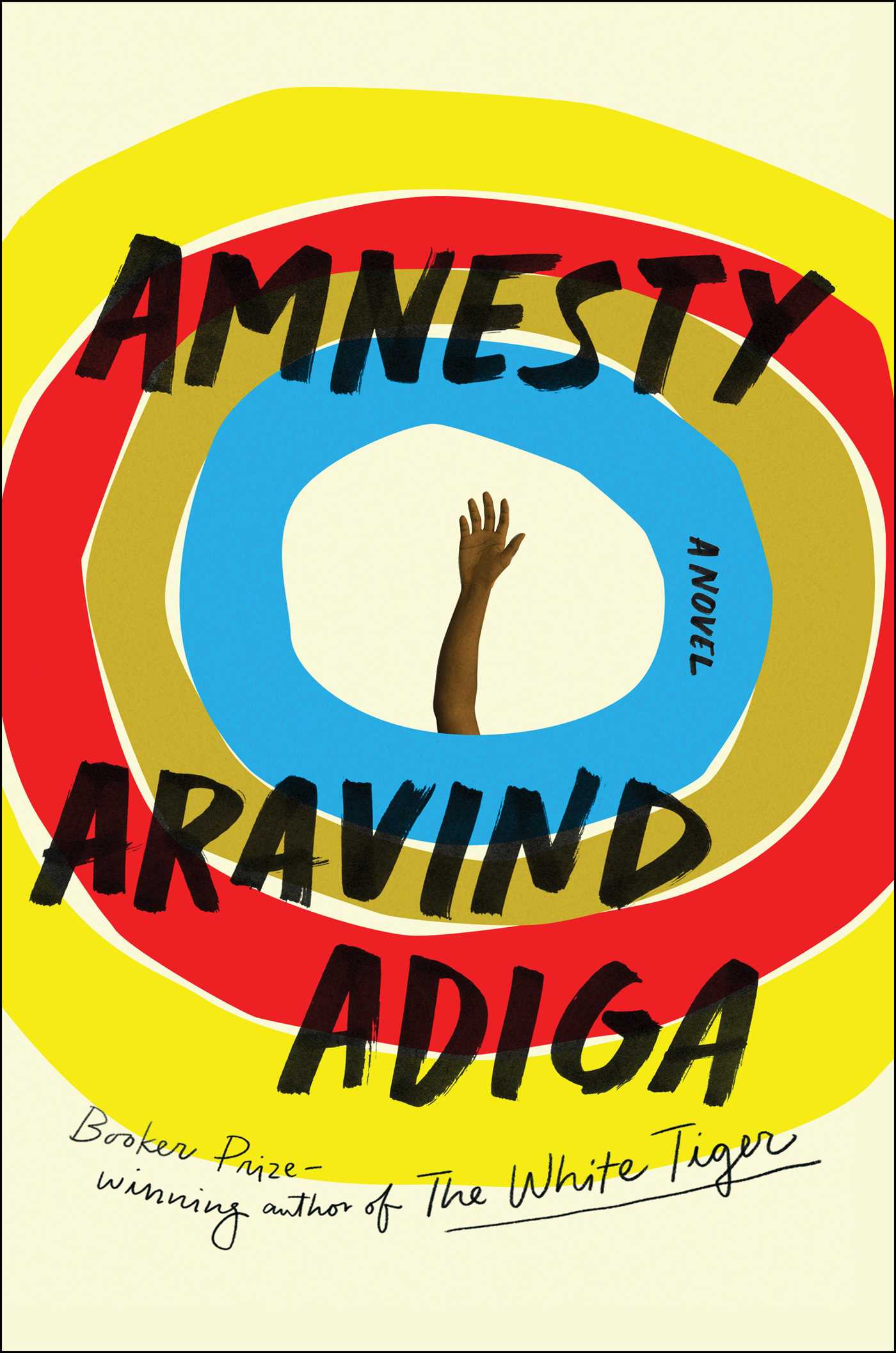 Amnesty book cover