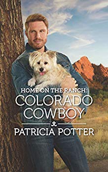 Colorado Cowboy book cover