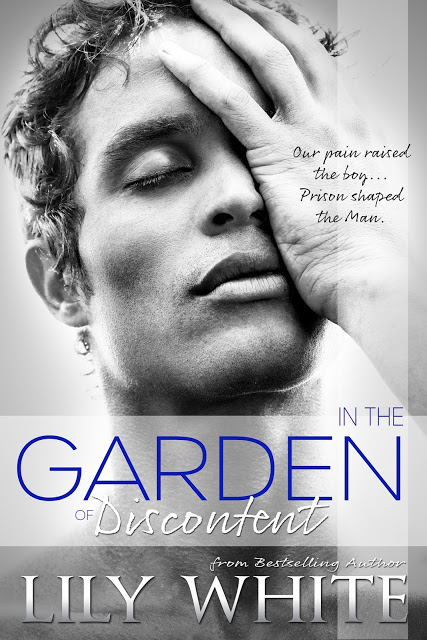In the Garden of Discontent book cover