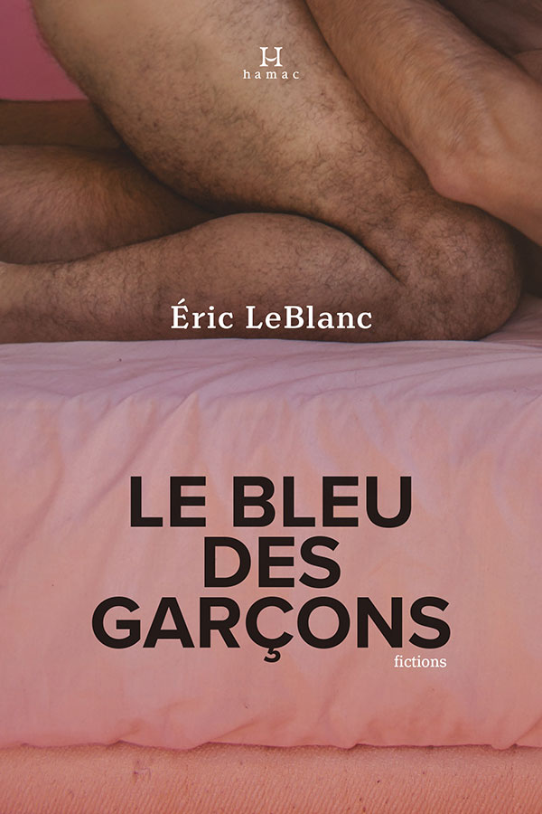 Le bleu des garçons book cover