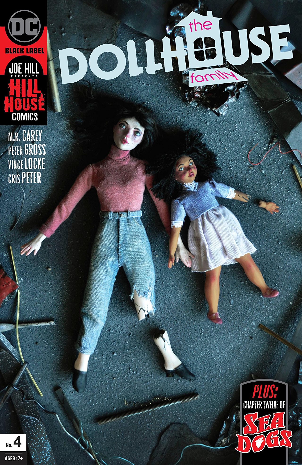 The Dollhouse Family #4 book cover