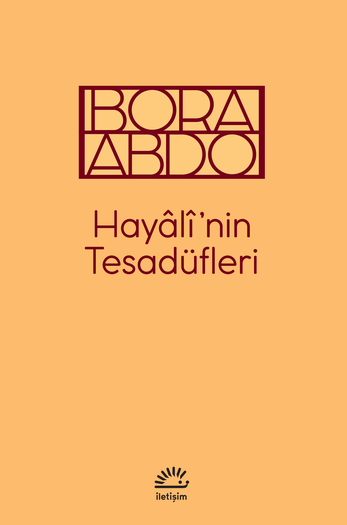 Hayâlî’nin Tesadüfleri book cover