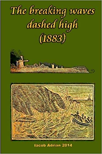 The Breaking Waves Dashed High book cover