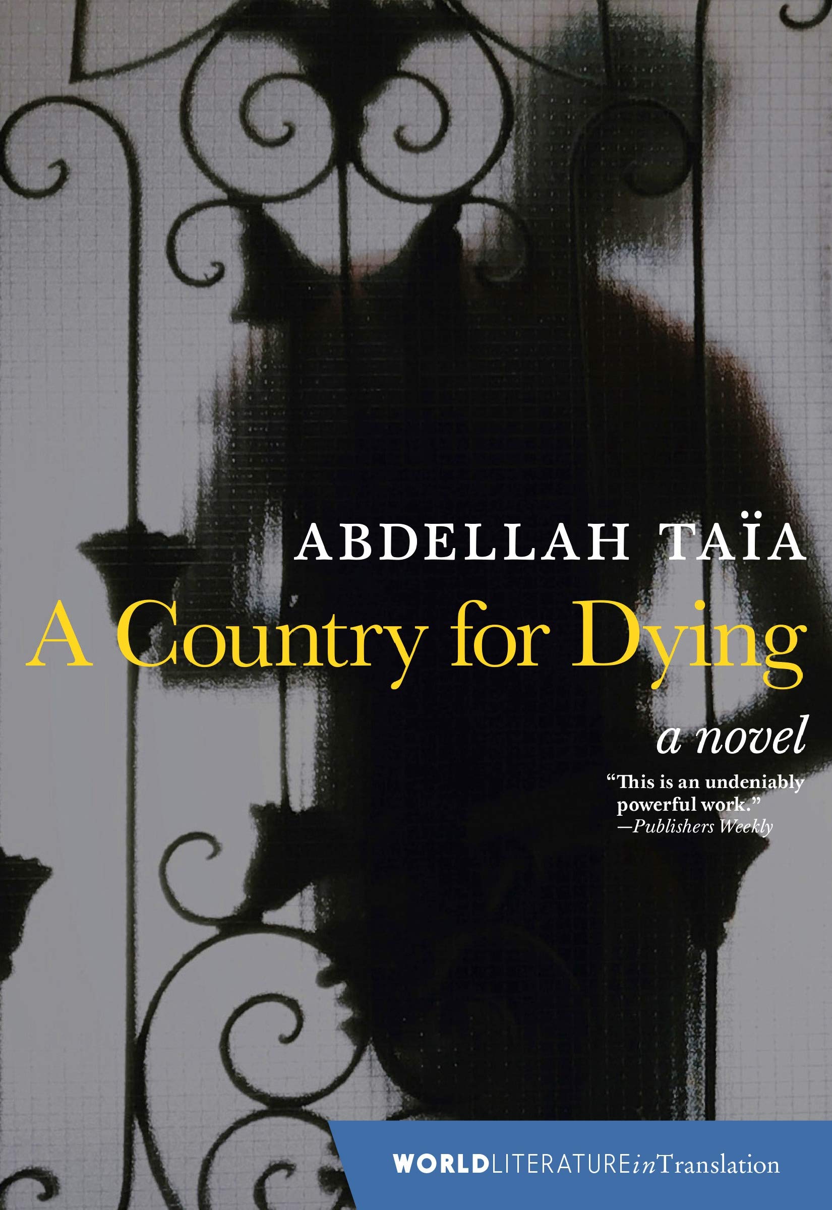A Country for Dying book cover