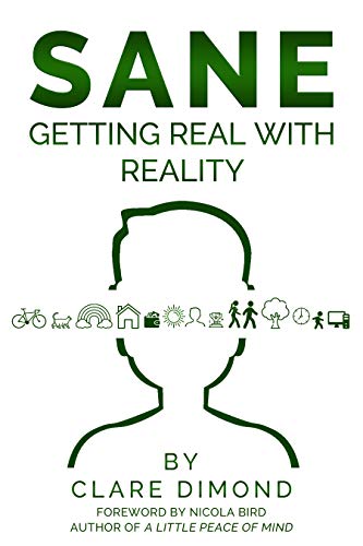 SANE: Getting Real with Reality