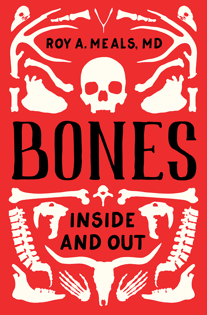 Bones: Inside and Out