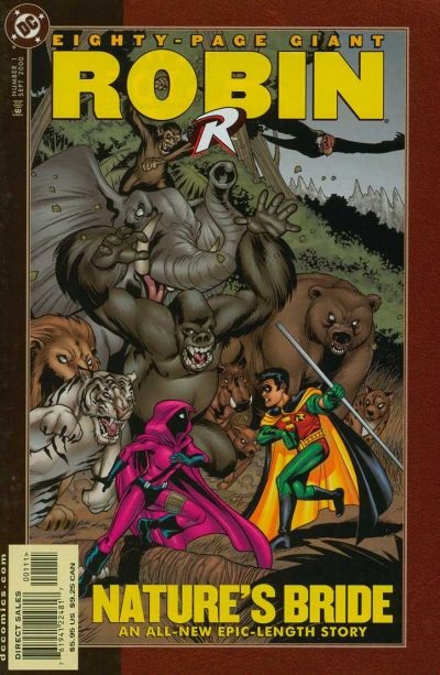 Robin 80-Page Giant #1 book cover