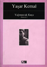 Kimsecik book cover 1