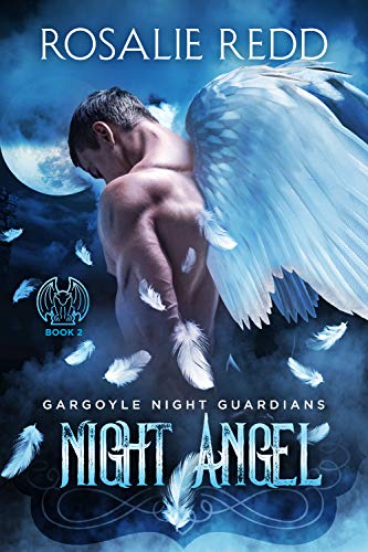Night Angel book cover