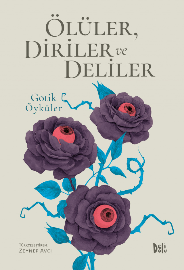 Ölüler, Diriler ve Deliler book cover