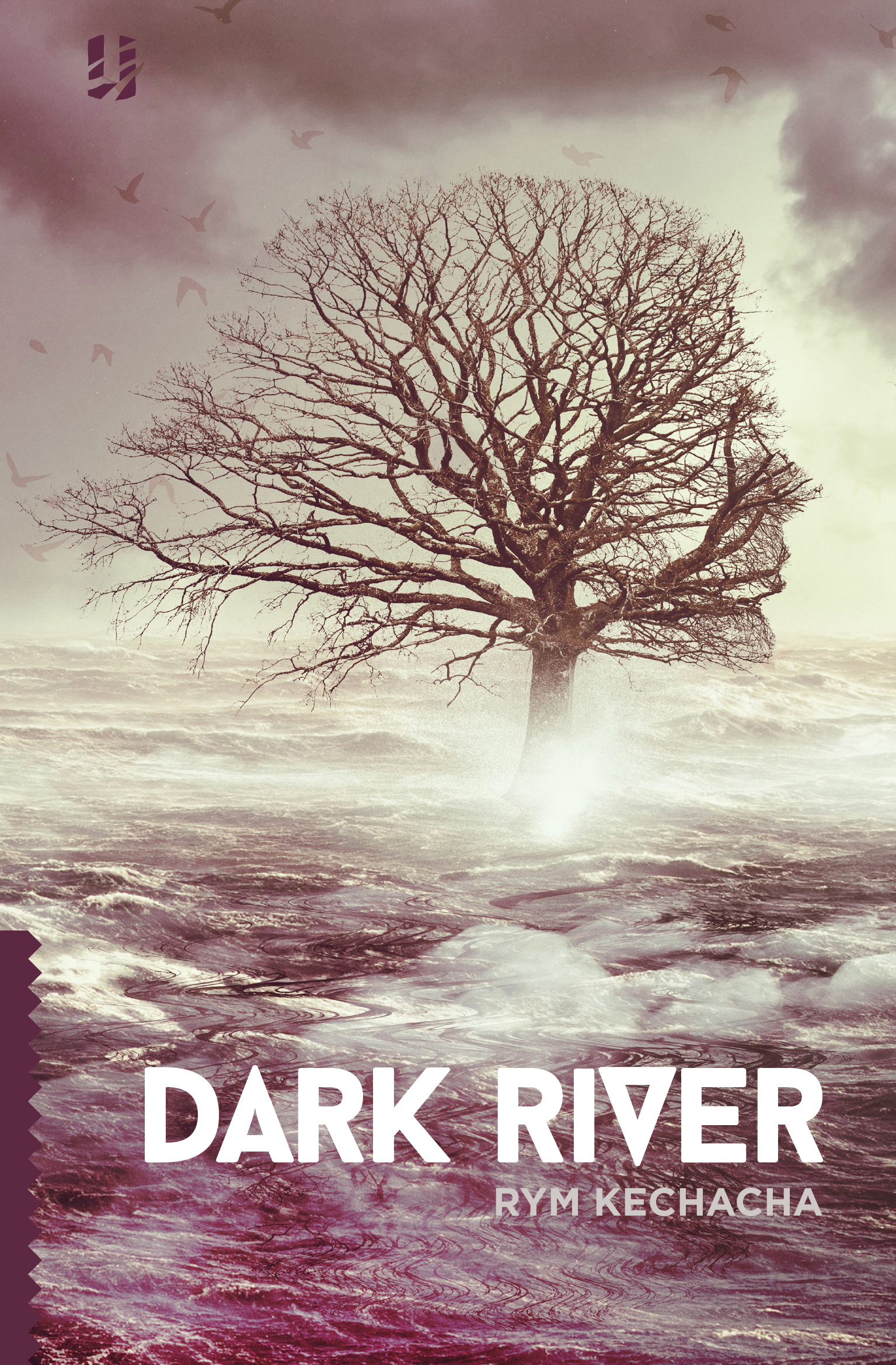 Dark River book cover