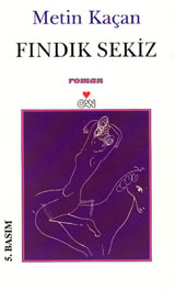 Fındık Sekiz book cover